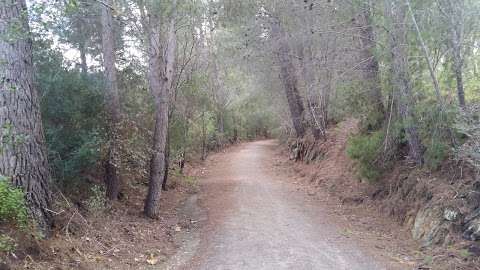 Photo: Riesling Trail & Clare Valley Cottages